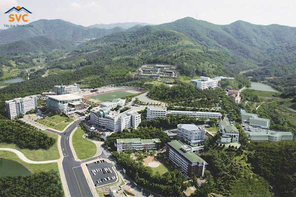Tổng quan Daegu Haany University